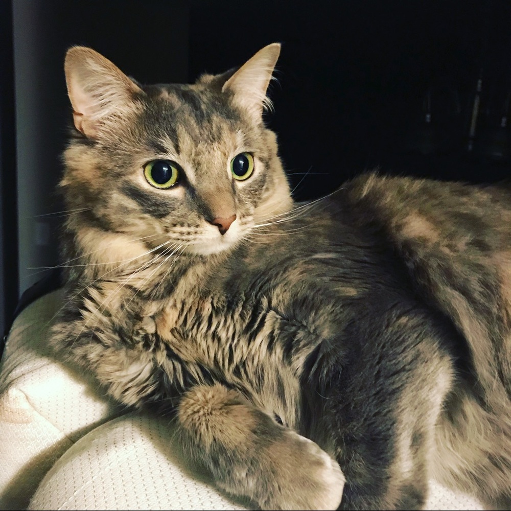 Meet your Posher, Jesse